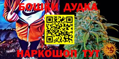 прущие крисы Апшеронск