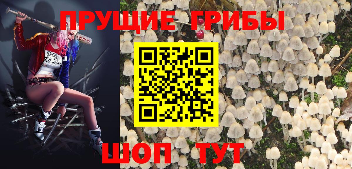 Галлюциногенные грибы Magic Shrooms  Кунгур  Псилоцибиновые грибы Magic Shrooms 