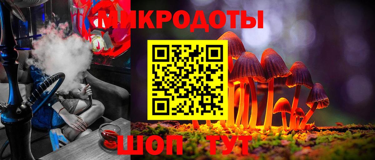 Псилоцибиновые грибы прущие грибы Кунгур