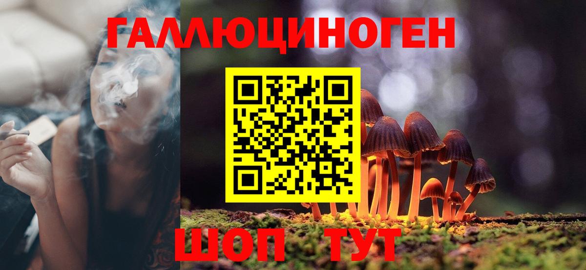 Кунгур  Галлюциногенные грибы ЛСД  Вход с VPN 
